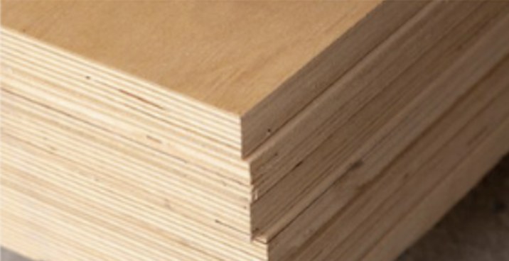 Stained birch plywood swatch