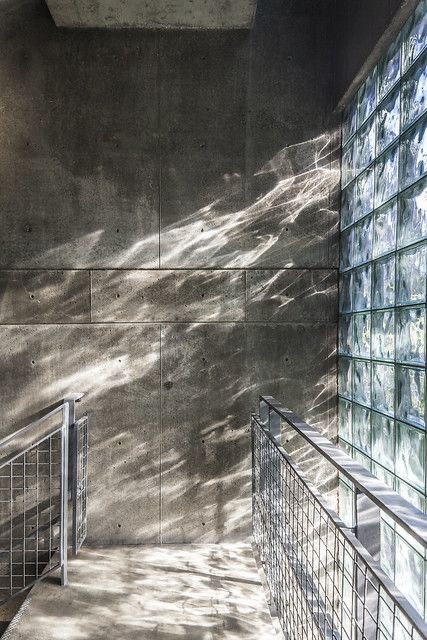 Tadao Ando — glass brick with dappled warm light